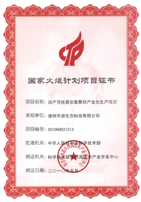 National Torch Program project certificate